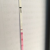 这段时间真的是过山车似的，3月9日末次月经。4月8日开始天天测，测到十三号都没测出两条杆，13日的时候...