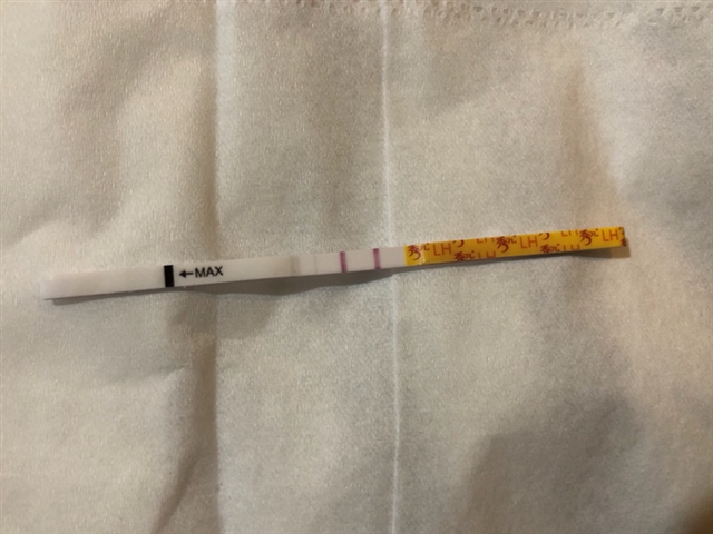 晚上刚刚测的排卵