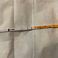 这是二次排卵吗。12 13号强阳 14号减弱一点。今天为什么又强阳了呀。第一次开始测排卵 末次月经3-19开始...