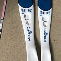 今天早上测了，大的是早孕检测不会用盒子没有了所以看不懂，小的是测排卵的怎么还是两杠啊？我有点蒙圈...