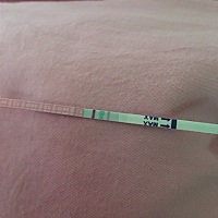 9号排卵，今天排卵第12天，昨晚测了早孕白板，今天测了排卵如下图，体温37度。昨天晚上和老公狠狠的吵了...