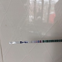 大卫验到这样，是不怀孕了