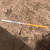 这是排卵了吗？