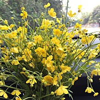 好想剖腹产又害怕心里想去又特别害怕一直不敢去