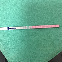 我上月姨妈是16号，这月今天还没来，延迟五六天的样子，早孕白板，体温没降，排卵试纸加深接近阳，之前...