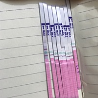 强阳最容易受孕的日子  好难过  异地恋啊异地恋  看着身边一个个差不多时期结婚的朋友都好孕了  自己还...