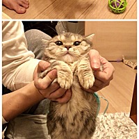 怀孕了老公禁欲了，现在宝宝26周了，胎动也比较明显，老公轻轻摸一下就拿开，我问他为什么不感受久一点...