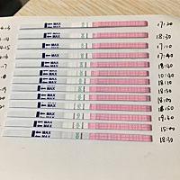 想知道如果按这种趋势，安排哪天同房最合适呢？