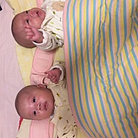 长大了些，俩小家伙。