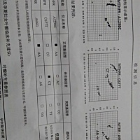 有人看得懂吗？麻烦告知