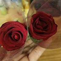 排卵期到了，各位姐妹们排卵期助孕方法有什么啊🤔，谢谢大家