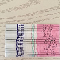 4.24下午一点测出最强阳，4.25十一点半B超监测卵泡2.3*2.2 ，4.25晚上试纸变弱，4.24 4.25 晚上各同房一...