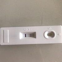 这是怀上了吗？