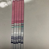 有谁知道测了几天为什么今天还更淡了？末次月经14号。还有，每个人都能测到强阳吗？