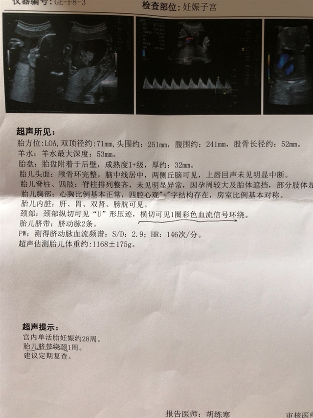 帮忙看看是男是女？