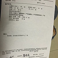 我今天去检查NT医生说很符合月份，为什么我的没有图。