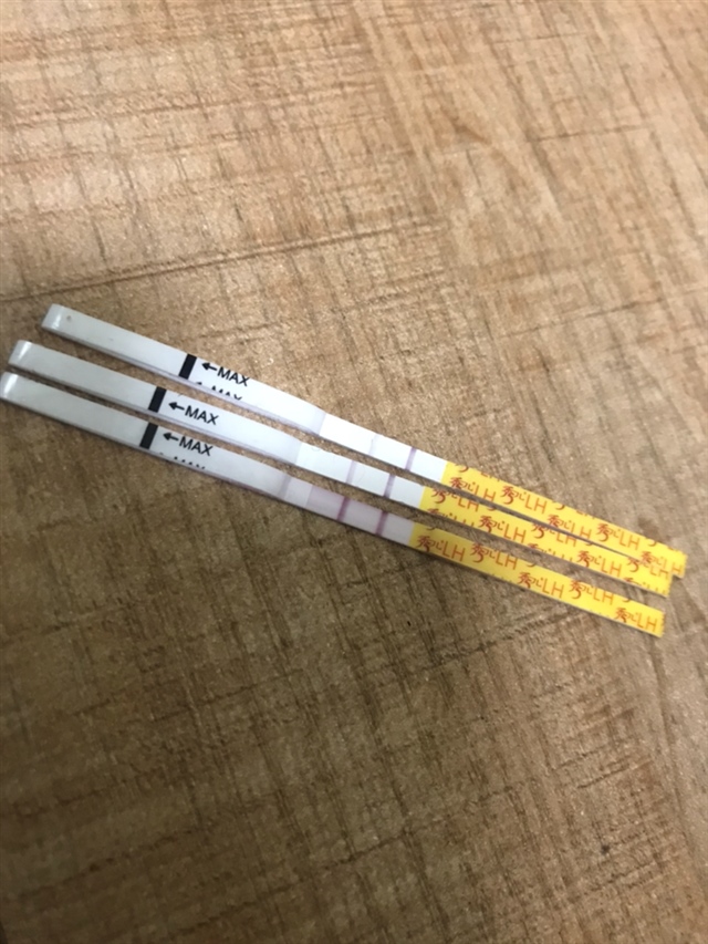 这是不是到排卵的日子了。