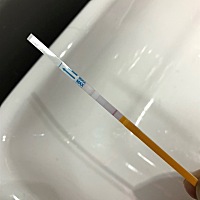 亲们，帮我看看这是要排卵了吗