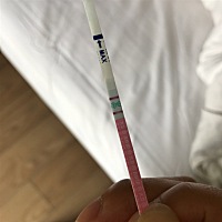 计划要宝宝的第二个月 排卵试纸的测试和对照区一样红 当天有同房 希望这个月能够成功