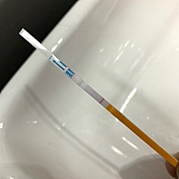 我7号来的大姨妈，周期是35天，每次来都7天，到现在还没排卵