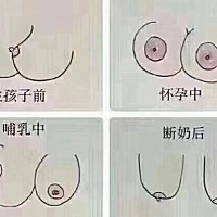 丰胸小知识分享 知道为什么哺乳过后胸部会松弛下垂吗⁉️ 1️⃣因为哺乳时身体能量消耗大，分泌乳汁需要...