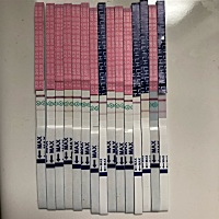 最后两个是今天的，请问是不是最近要排卵了？