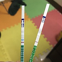 这是怀孕了吗？