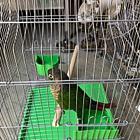 孤孤单单，比翼双飞，我在等你