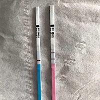月经推迟8天，而测试纸是这样的结果，早早孕白板，排卵试纸强阳，这是什么逻辑