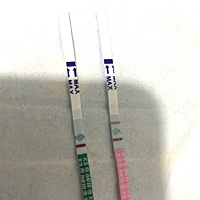 末次3月26号 刚刚测的早孕和排卵试纸 早孕有没有印啊 眼已看虾