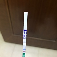 宝妈们，我21号排卵，应该什么时候测？我刚测了，大白板。。是不是测太早了。。