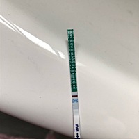 难道是我眼花了，用了个早早孕测着玩，竟然有看到一点，应该还是排卵期呢