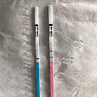 月经推迟了9天，红色排卵试纸强阳，而蓝色早孕试纸白板，这是哪种情况，求解