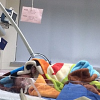 4.28超快顺产小公举一枚！事实证明神马症状都是浮云，退圈啦，传姐妹们好孕！