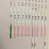 我4月12日来月经，17号完，一只在测排卵，按排卵推算法下次来月经前14天是排卵日，那么28号就是，可是测...