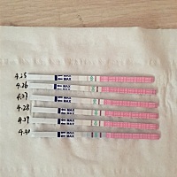 请帮我看看这是要排卵了吗，怎么之前几天都一个样啊