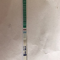 四月24的排卵日，今天早上忍不住测了一下，大白板，知道自己太心急了，可是就是控制不住自己！有跟我一...