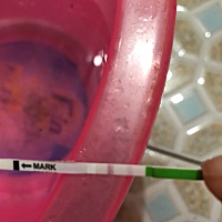 强转弱可以同房了吗