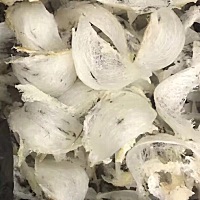 完美大燕条无比的干净 泡发率高 纯手工挑毛高品质，工人正在手工挑毛