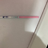排卵试纸强阳，是要拍卵了还是早孕？早孕试纸白板，停经四天