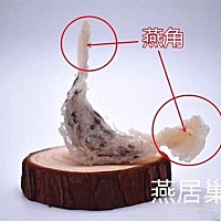 ☀️燕角就是燕子做巢最先做的两个支点，角质化程度高，浓缩的精华，特别硬，但是实际检测会发现燕角的...