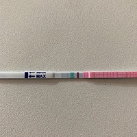 排卵日同房后，今天已经是第八天了，用早孕试纸测白白板，用排卵试纸测弱阳，我有听说测早孕好像是排卵...