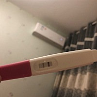 这是怀孕了吗？