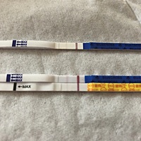 请大家帮我看看，这算不算是有了？