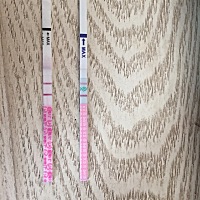 用两种不同牌子的试纸测出来，这是排卵期了吧？我是3月26来的月经，经期有40天左右，一般来6天，我这个...