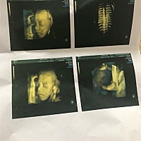 四维顺利通过，有会看男孩女孩的大神吗？好期待