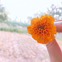 今天姨妈来了…我姨妈重来没有推迟过，这次既然四天……备孕两个月了，我老是认为我自己怀不上，乱想一...