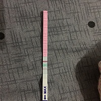 这种是多久排卵