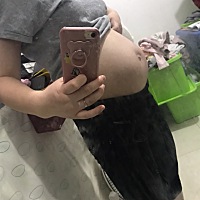 刚满四个月 还是胎盘后壁 肚子这么大 特别疲惫 人见了都以为是双胎 哎 感觉肚子大的太不正常了 上次Nt超...