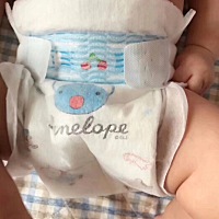 谈谈纸尿裤，有用贝贝的吗？🐨